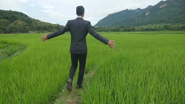 Cheering Businessman Open Arms Walking On Rice Fields