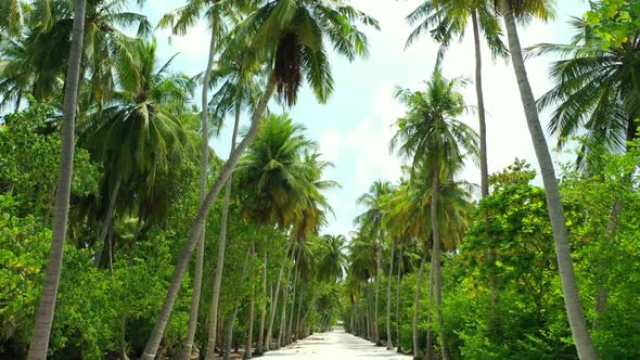 Aerial scenery of perfect bay beach journey by aqua blue ocean with white sand background of journey