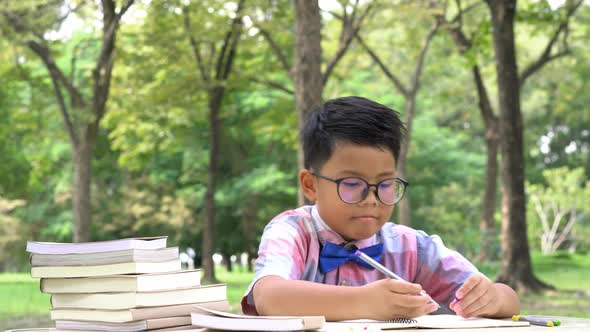 Boy study and learning at outdoor