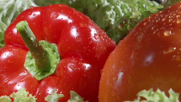 Fresh Colorful Peppers and a Salad Leaves Closeup Shot of Vegetables and Water Drops