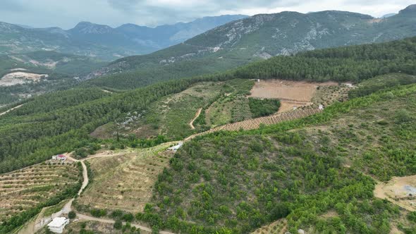 Farm Landscapes Background Texture 4 K Aerial View