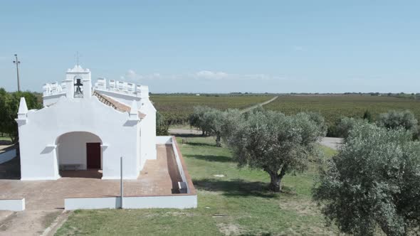 Monsaraz grove of trees next to a white church building.