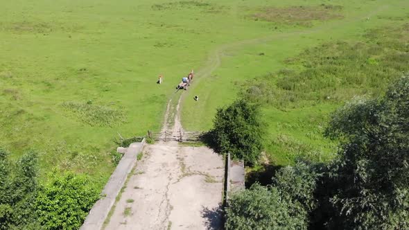 People are riding on old wooden cart on dirt road in grasslands. Life in village. Drone view