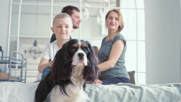 Loving Family and Little Son a Boy of European Appearance Sitting on a Bed in a Cozy Modern Room