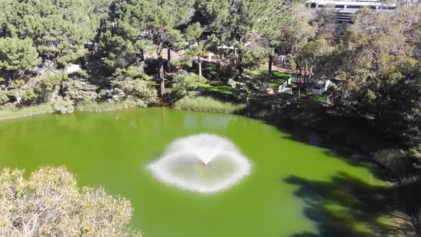 Aerial View of a Pond