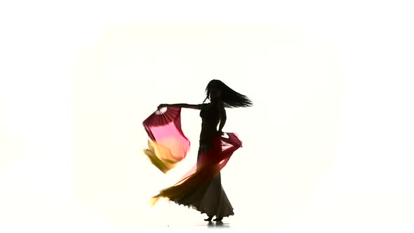 Exotic Belly Dancer Girl Dancing with Two Long Fans, on White, Silhouette, Shadow, Slow Motion