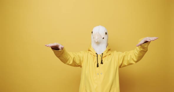 Happy Guy Enjoying Dance with Pigeon Mask on Yellow Background