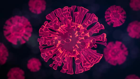 Animation of glowing pink 3d macro coronavirus Covid-19 cells spreading on dark background. 