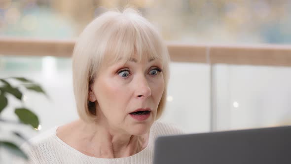 Closeup Surprised Excited Mature Woman Looking at Laptop Screen Middleaged Caucasian Businesswoman