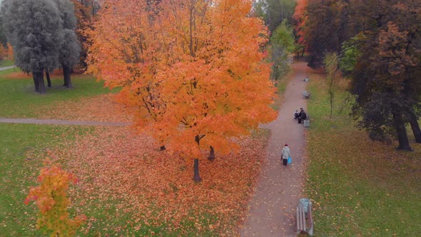 The Beauty of an Autumn Park in St