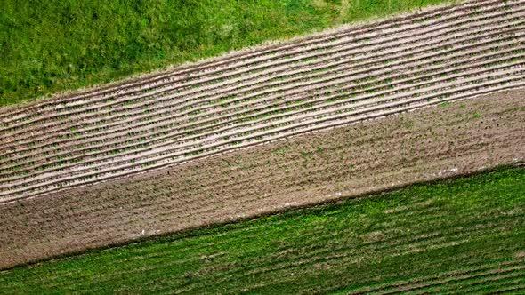 Aerial drone view of a flying over the rural agricultural landscape.