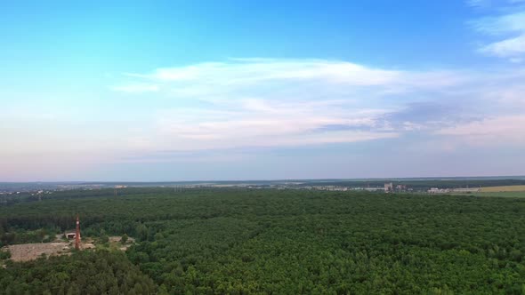 Drone is rising up over the natural environment in summer