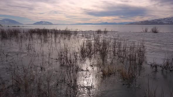 Slowly flying over sticks in frozen lake during winter