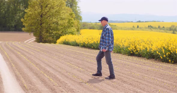 Agriculture - Farmer Walking on Field Examining Crops at Farm at Dusk