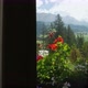 Colorful flowers at window in landscape, Alta Badia, Italy - VideoHive Item for Sale