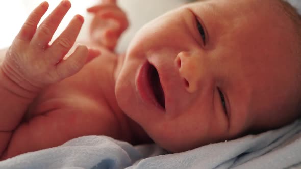 Portrait of a Newborn Baby Boy