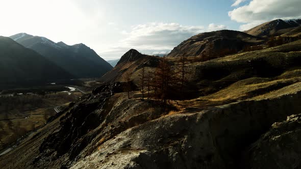 Trees Without Leaves Located on the Top of the Mountain