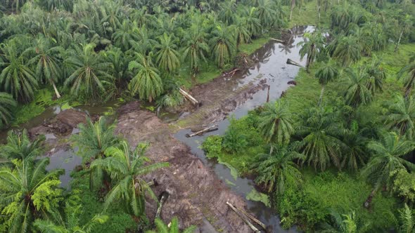 Aerial view land clear at oil palm farm