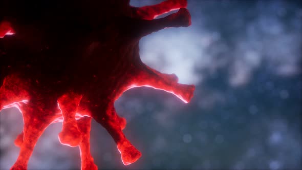 Virtual Representation Macro Model of Novel Coronavirus COVID-2019 alt