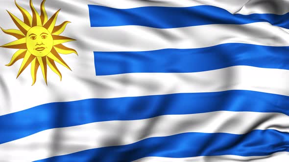 Uruguay Flag