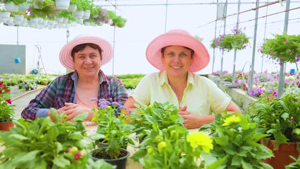 Looking at Camera in a Greenhouse with Seedlings of Indoor Flowers Two Smiling Female Florists