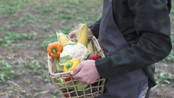 Farmer Holding a Box of Freshly Picked Organic Vegetables