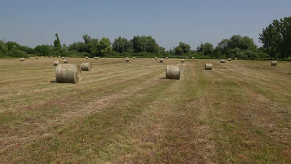 Straw Bales 22