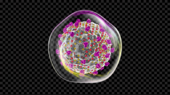 Covid 19 Infected Cell V11 alt