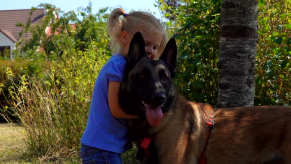 Little Blond Girl is Hugging a Belgian Shepherd Dog Outdoors