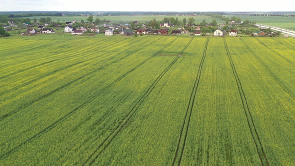 Top View of a Sown Green Field and a Small Village in Belarus