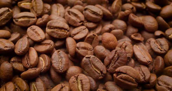 Close Up of Seeds of Coffee