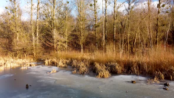 Aerial view on frozen wild lake in sunset forest