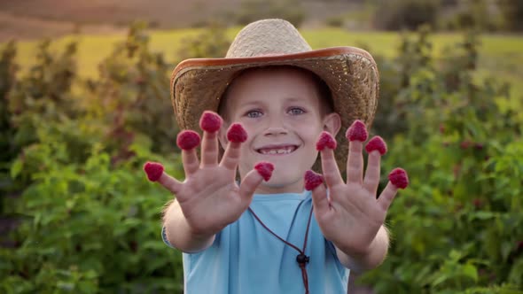 Happy child with raspberries. Little boy in a straw hat