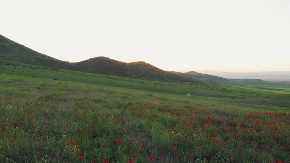 Green Tent In Spring Nature Field During Sunset