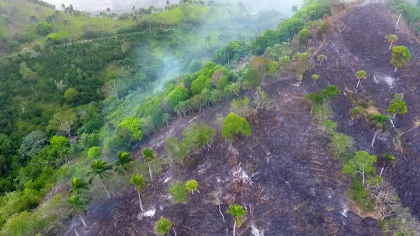 Aerial view of smoking tropical forest fires burning, in the mountains of Portugal, Europe - trackin