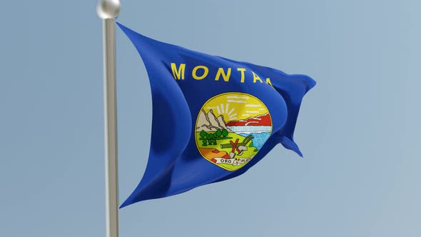 Montana flag on flagpole.