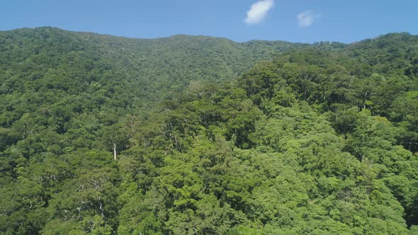View of Mountain Landscape with Rainforest