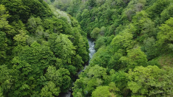 Aerial Shot Of The River Between The Mountains And Forest