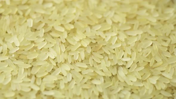 Yellowish Steamed Rice Spins As a Backdrop in a Japanese Restaurant