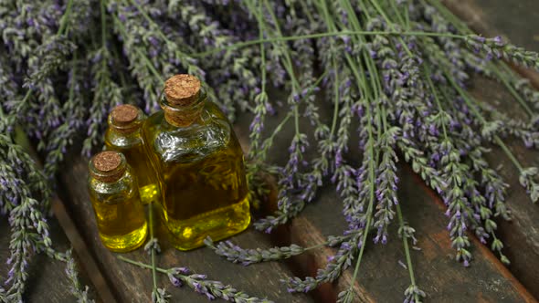 Lavender and Lavender Oil 29