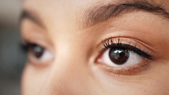 Close Up Macro Eyes of a Black Woman African American Woman Portrait Mix Raced Young Female Student