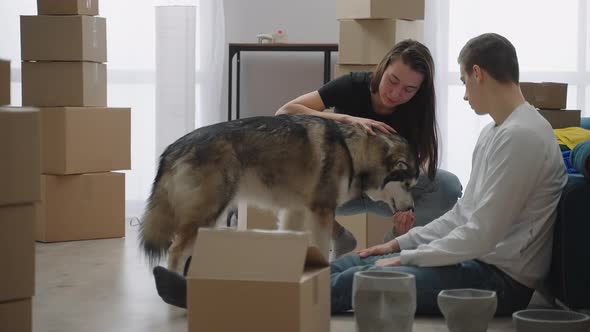 Young Couple and a Large Dog Have Moved Into a New Apartment