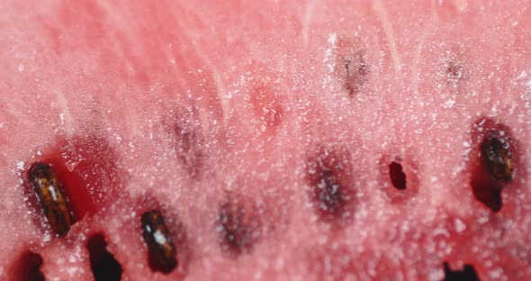 Slice of Juicy Watermelon with Seeds. 