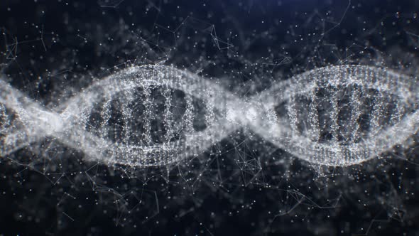 4K Looped Plexus DNA