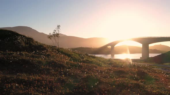  Fredvang bridge in the beautiful sunny evening, Lofoten Islands, Norway