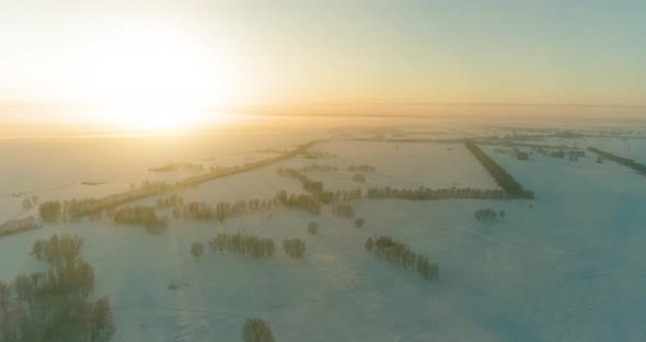 Aerial Drone View of Cold Winter Landscape with Arctic Field Trees Covered with Frost Snow and