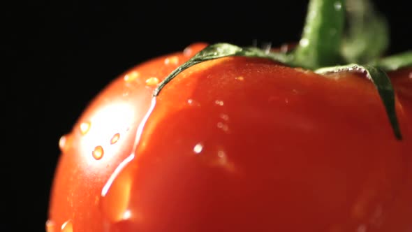 Tomato rotating close up studio