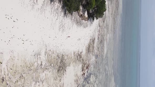 Zanzibar Tanzania  Vertical Video of Low Tide in the Ocean Near the Coast Slow Motion