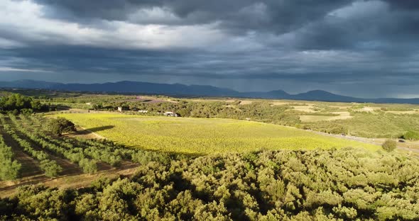 Aerial  Panoramic Shot of a Land and Houses Near Valensole France