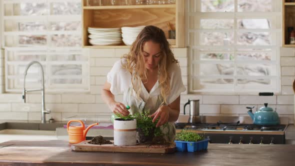 Smiling caucasian woman tending to potted plants standing in cottage kitchen